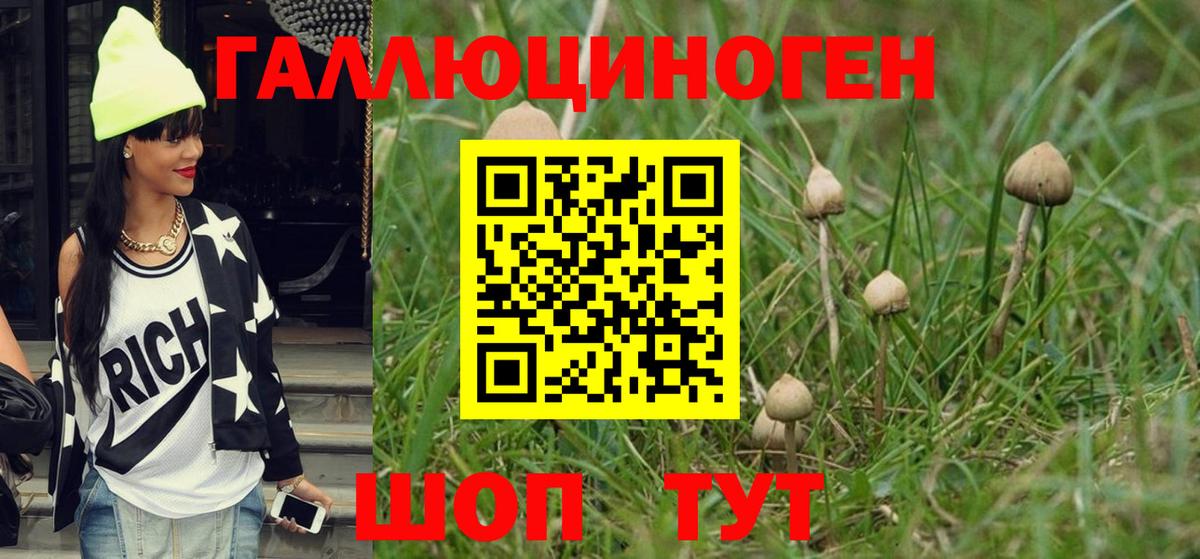 Псилоцибиновые грибы Cubensis  Вход с VPN  Галлюциногенные грибы мухоморы  Новочебоксарск 