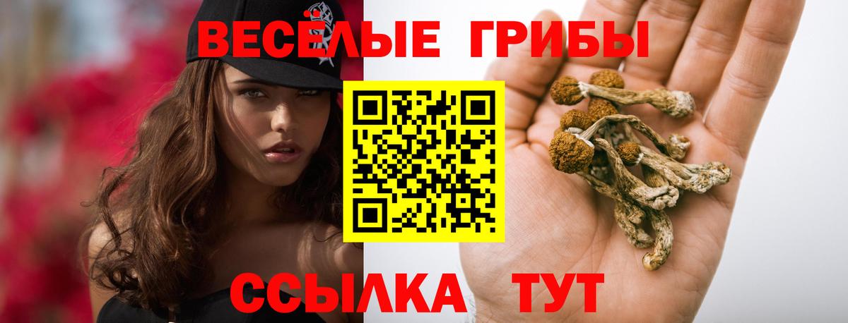 Псилоцибиновые грибы MAGIC MUSHROOMS Новочебоксарск